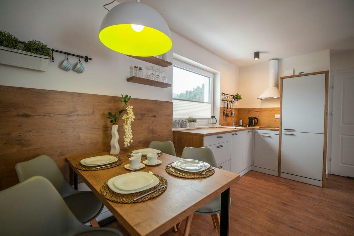 Apartament Kasztanowy Blisko Centrum - Dream Apart シュチルク エクステリア 写真